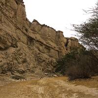تنگه چاهکوه